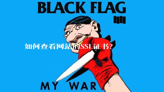 如何查看网站的SSL证书？