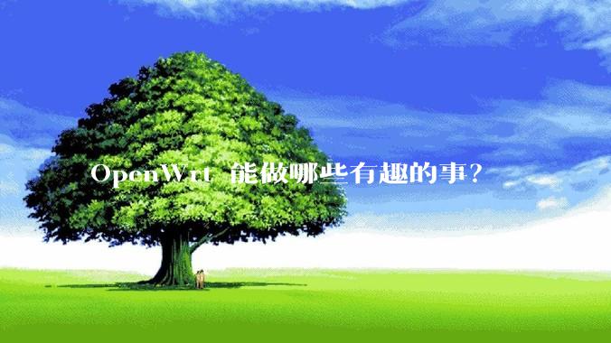 OpenWrt 能做哪些有趣的事？