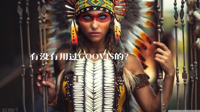 有没有用过GOOVIS的？